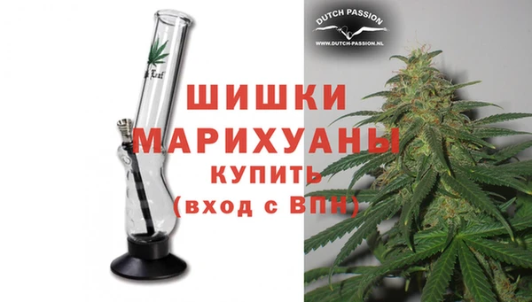индика Елабуга