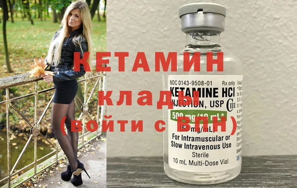 индика Елабуга