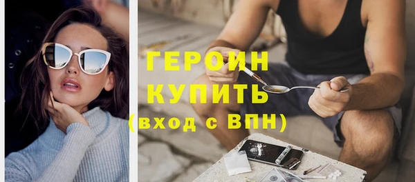 индика Елабуга