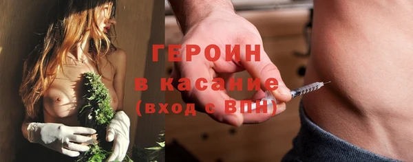 трава Ельня