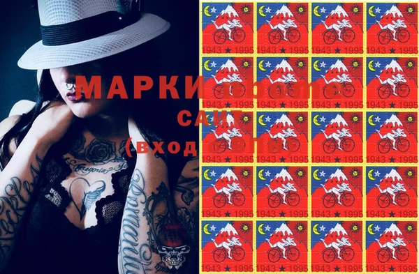 индика Елабуга