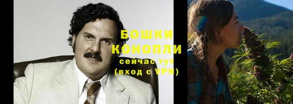 индика Елабуга