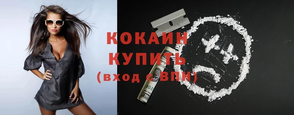 индика Елабуга