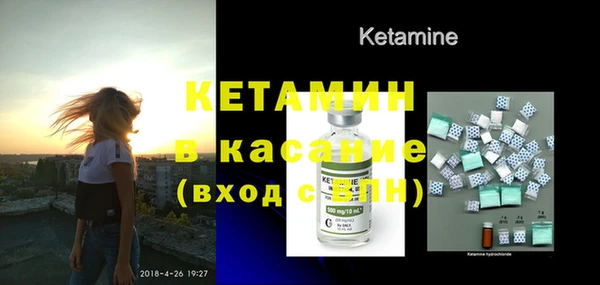 трава Ельня