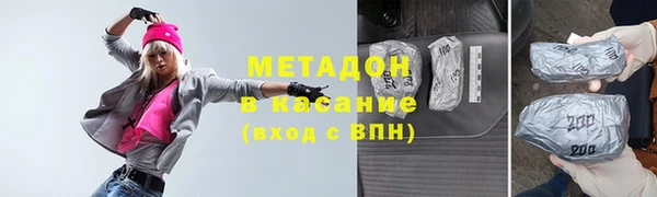 индика Елабуга