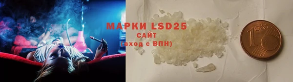 индика Елабуга