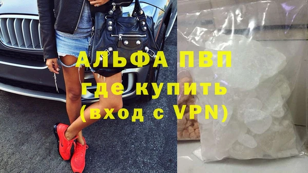 индика Елабуга
