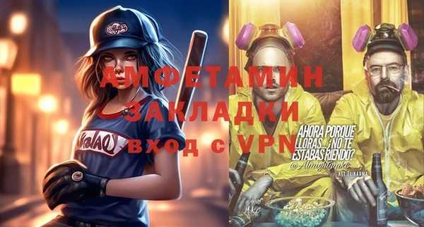 индика Елабуга