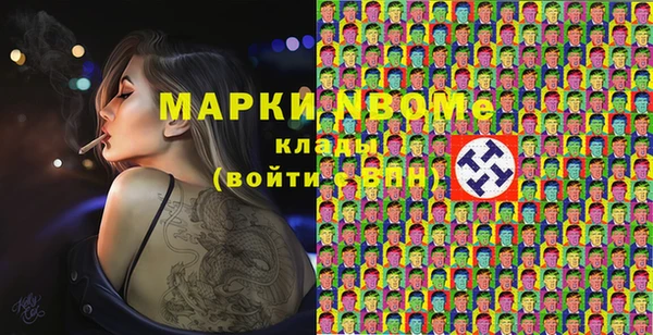 прущие грибы Осинники