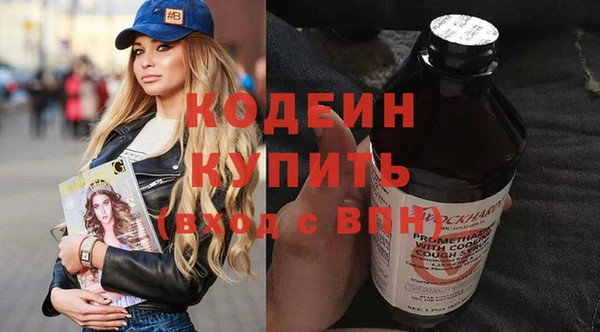 индика Елабуга