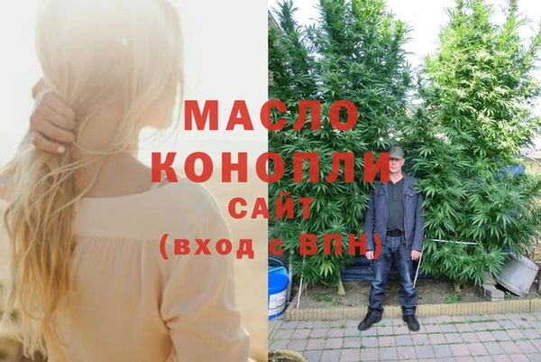 индика Елабуга