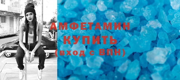 индика Елабуга
