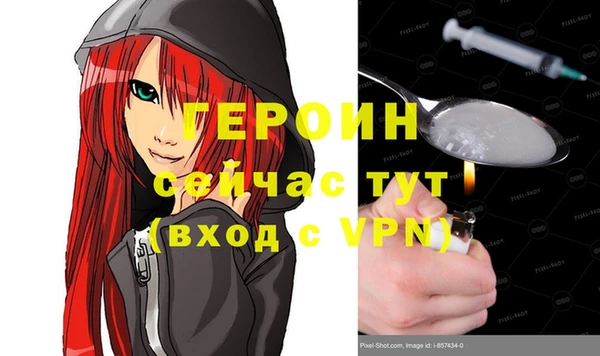 индика Елабуга