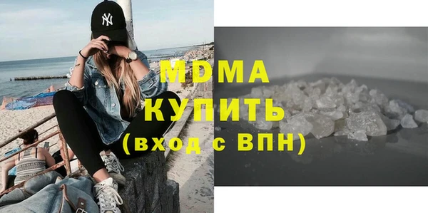 индика Елабуга