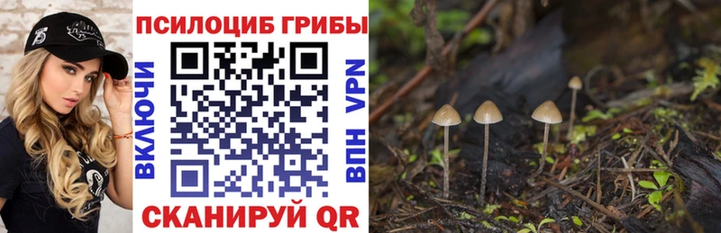 Галлюциногенные грибы мухоморы  Купить  Вольск 