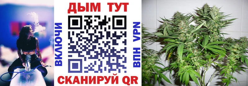 Марихуана THC 21%  Купить закладки  Вольск 
